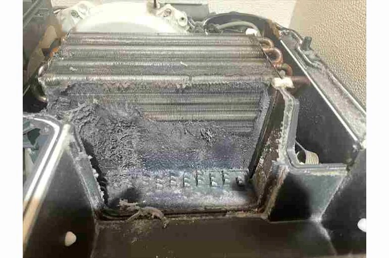    パナソニックのドラム式洗濯機が乾かない！改善方法とプロによる分解クリーニング【江東区の事例】   
